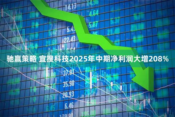 驰赢策略 宜搜科技2025年中期净利润大增208%