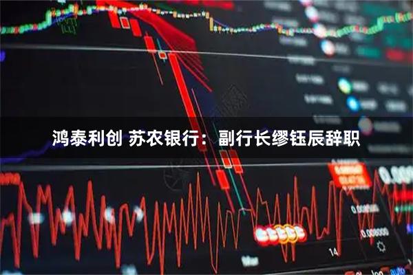 鸿泰利创 苏农银行：副行长缪钰辰辞职