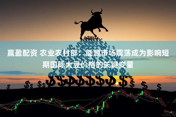 赢盈配资 农业农村部：能源市场震荡成为影响短期国际大豆价格的关键变量