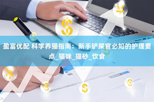 盈富优配 科学养猫指南：新手铲屎官必知的护理要点_猫咪_猫砂_饮食