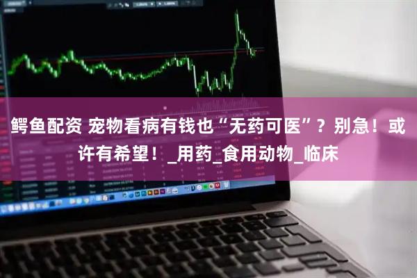 鳄鱼配资 宠物看病有钱也“无药可医”？别急！或许有希望！_用药_食用动物_临床