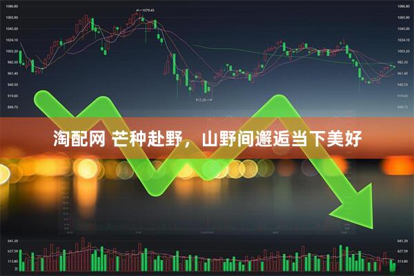 淘配网 芒种赴野，山野间邂逅当下美好