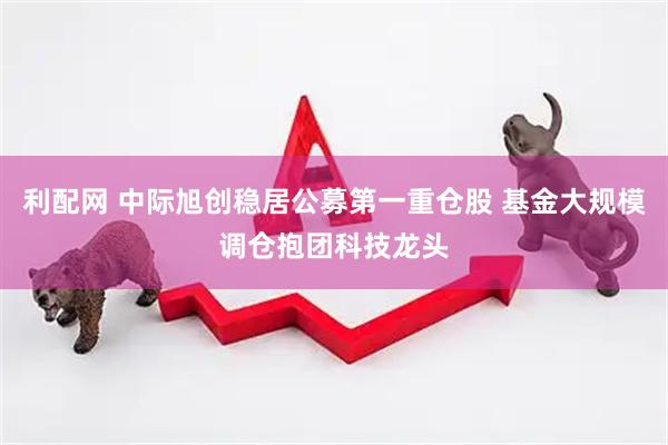 利配网 中际旭创稳居公募第一重仓股 基金大规模调仓抱团科技龙头